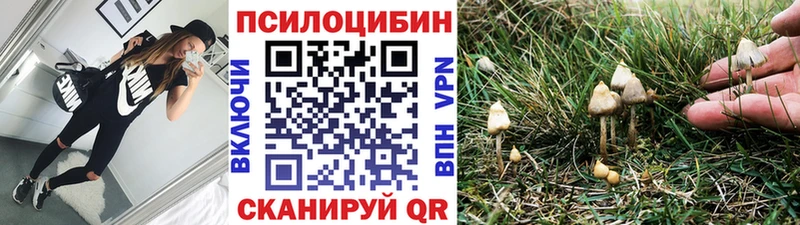 Купить  Тбилисская  Галлюциногенные грибы мухоморы 